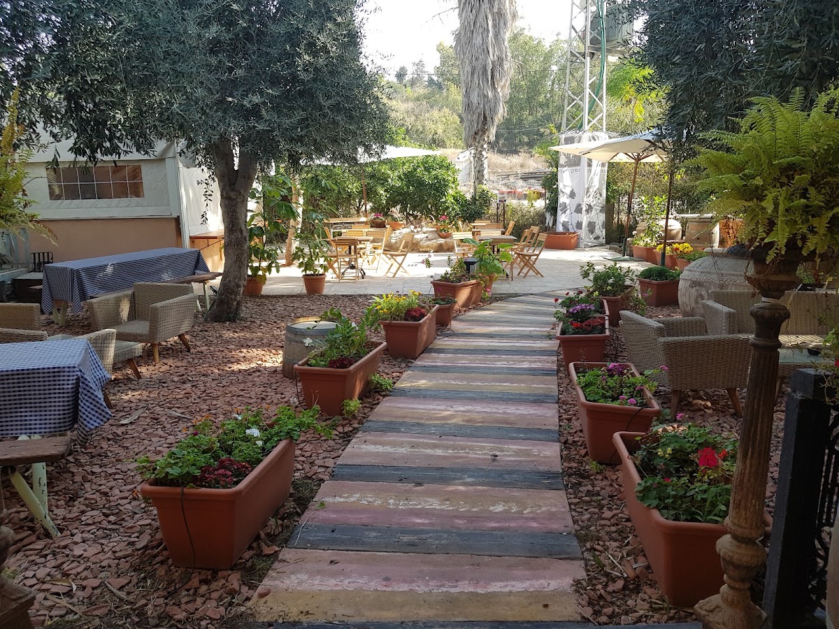 יקבי עמק האלה — תמונת כותרת
