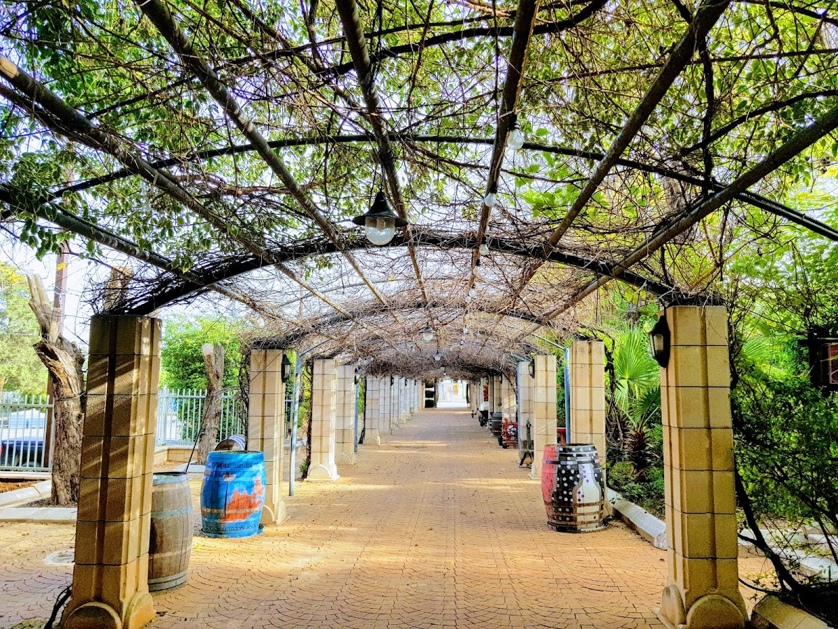 יקב המערה — תמונת כותרת