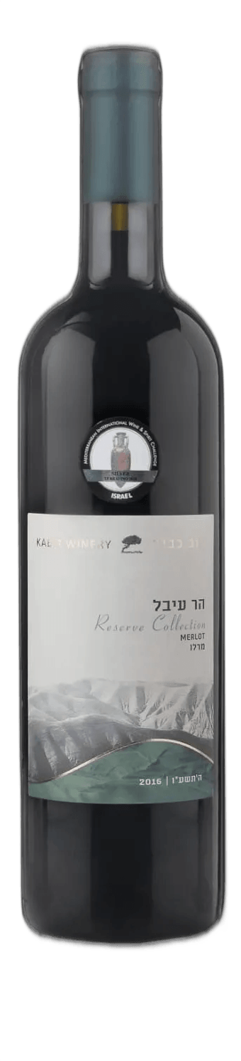 הר עיבל